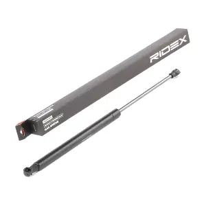 219G0363 RIDEX