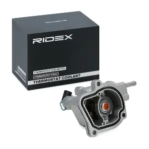 316T0062 RIDEX