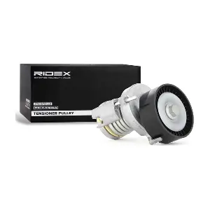 310T0017 RIDEX