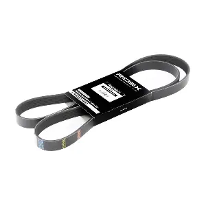 305P0080 RIDEX