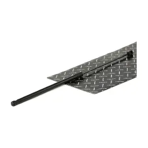 219G0819 RIDEX