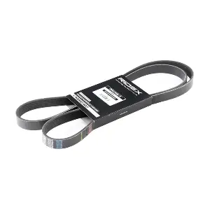 305P0287 RIDEX