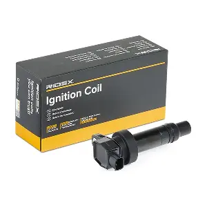 689C0171 RIDEX