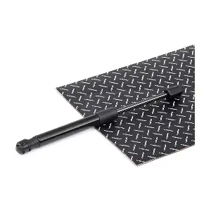 219G0081 RIDEX