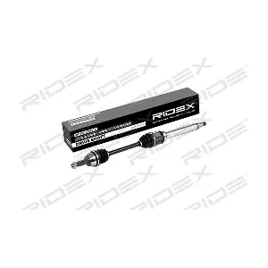 13D0017 RIDEX