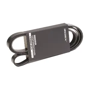 305P0074 RIDEX