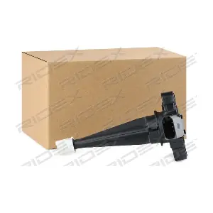 1289S0022 RIDEX