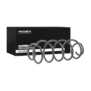 188C0284 RIDEX