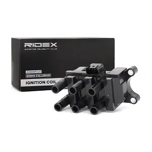 689C0079 RIDEX