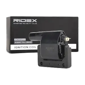 689C0108 RIDEX