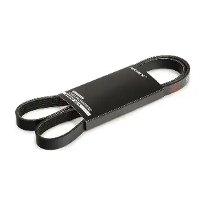 305P0227 RIDEX