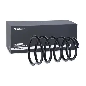 188C0579 RIDEX