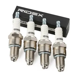 686S0319 RIDEX