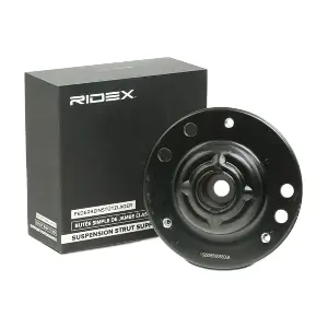 1180S0087 RIDEX