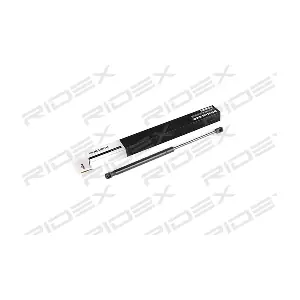 219G0419 RIDEX