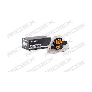 1385C0120 RIDEX