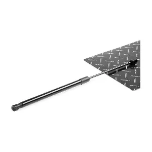 219G0461 RIDEX