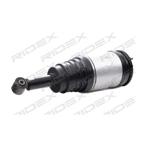 4118A0068 RIDEX