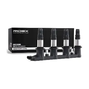 689C0179 RIDEX