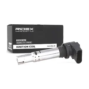 689C0003 RIDEX