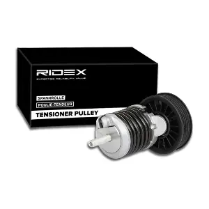 541V0023 RIDEX