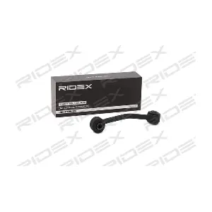 3229S0488 RIDEX