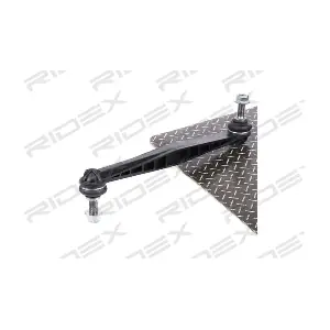 3229S0454 RIDEX
