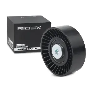 310T0268 RIDEX