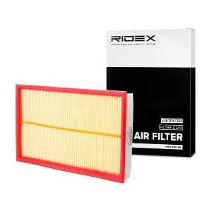 8A0113 RIDEX
