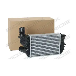 468I0163 RIDEX