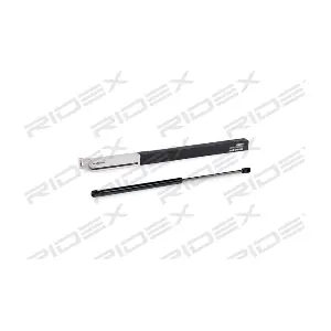 219G0590 RIDEX