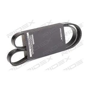 305P0419 RIDEX