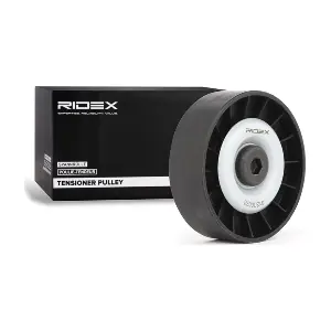 312D0076 RIDEX