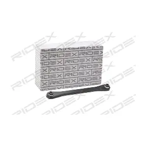 273C1013 RIDEX