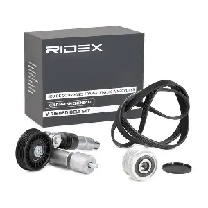 542R0271 RIDEX