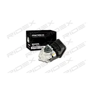 12H0022 RIDEX