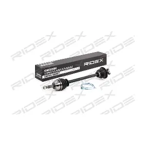 13D0309 RIDEX