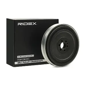 3213B0050 RIDEX