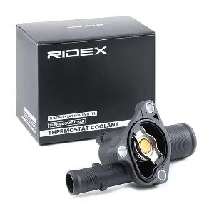 316T0059 RIDEX