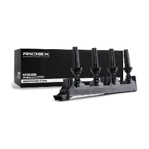 689C0111 RIDEX