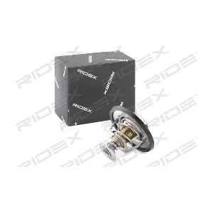 316T0120 RIDEX