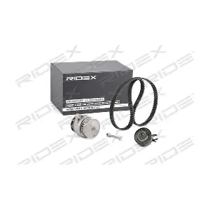 3096W0042 RIDEX