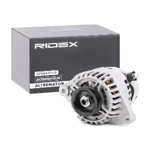 4G0398 RIDEX
