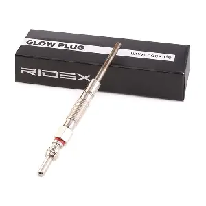 243G0080 RIDEX