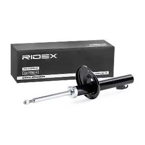 854S1003 RIDEX
