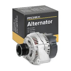 4G0074 RIDEX