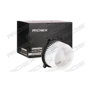 2669I0121 RIDEX