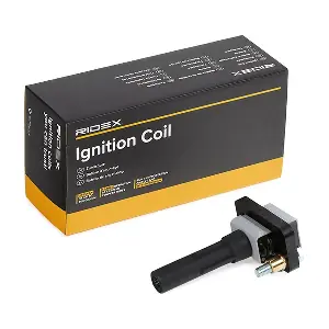 689C0183 RIDEX