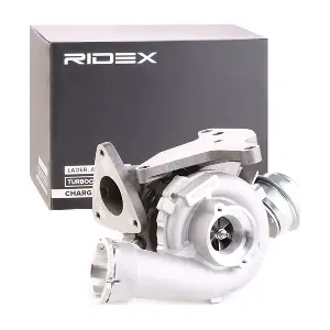 2234C10138 RIDEX