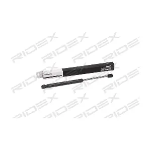 219G0862 RIDEX